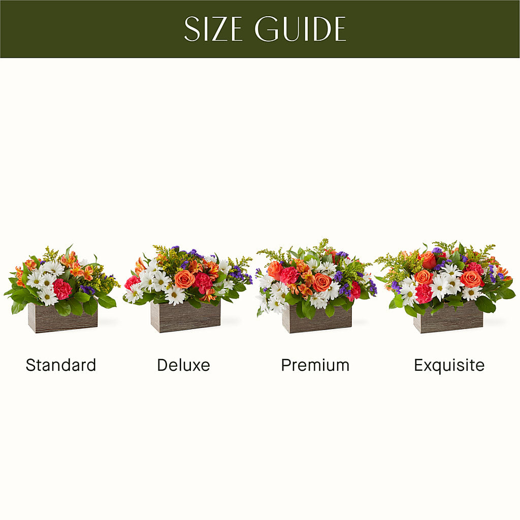 Oopsie Daisy Box Bouquet – MR K'S FLOWERS, Littleton CO