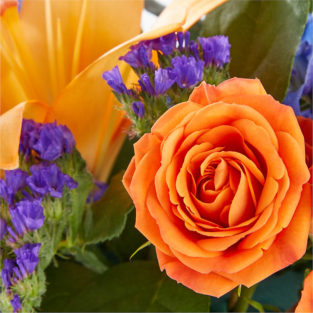 Radiant Citrus Box Bouquet – MR K'S FLOWERS, Littleton CO