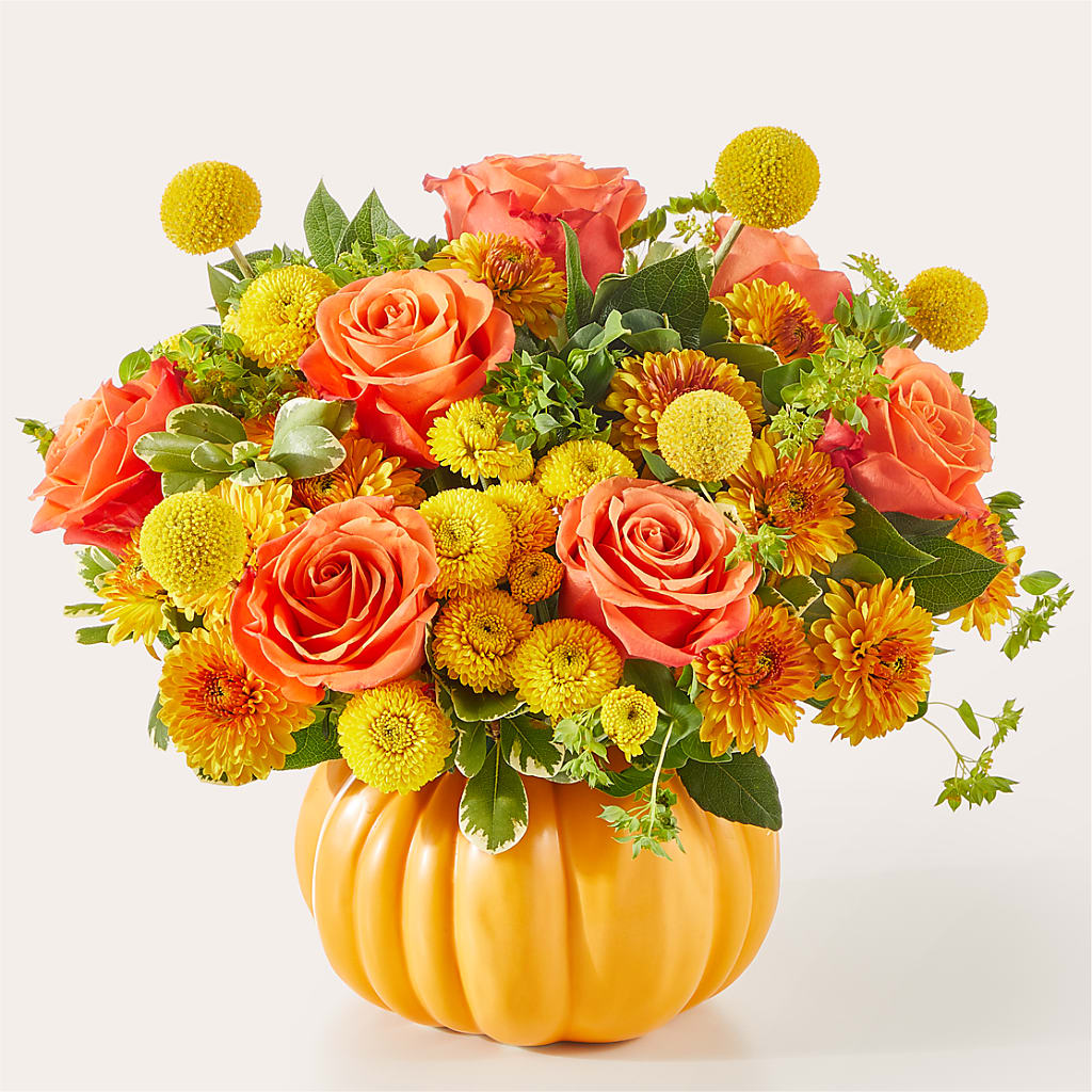 Gourdgeous Pumpkin – MR K'S FLOWERS, Littleton CO