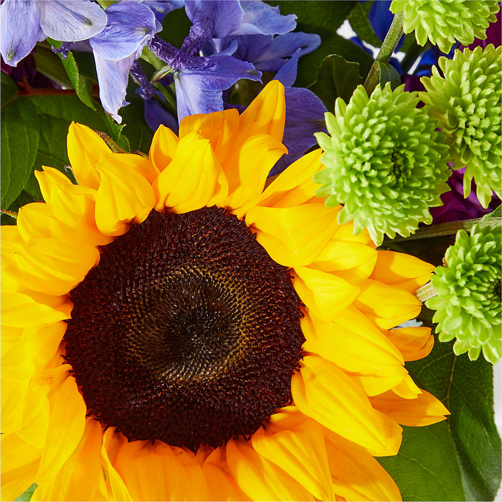 Catching Rays Bouquet – MR K'S FLOWERS, Littleton CO