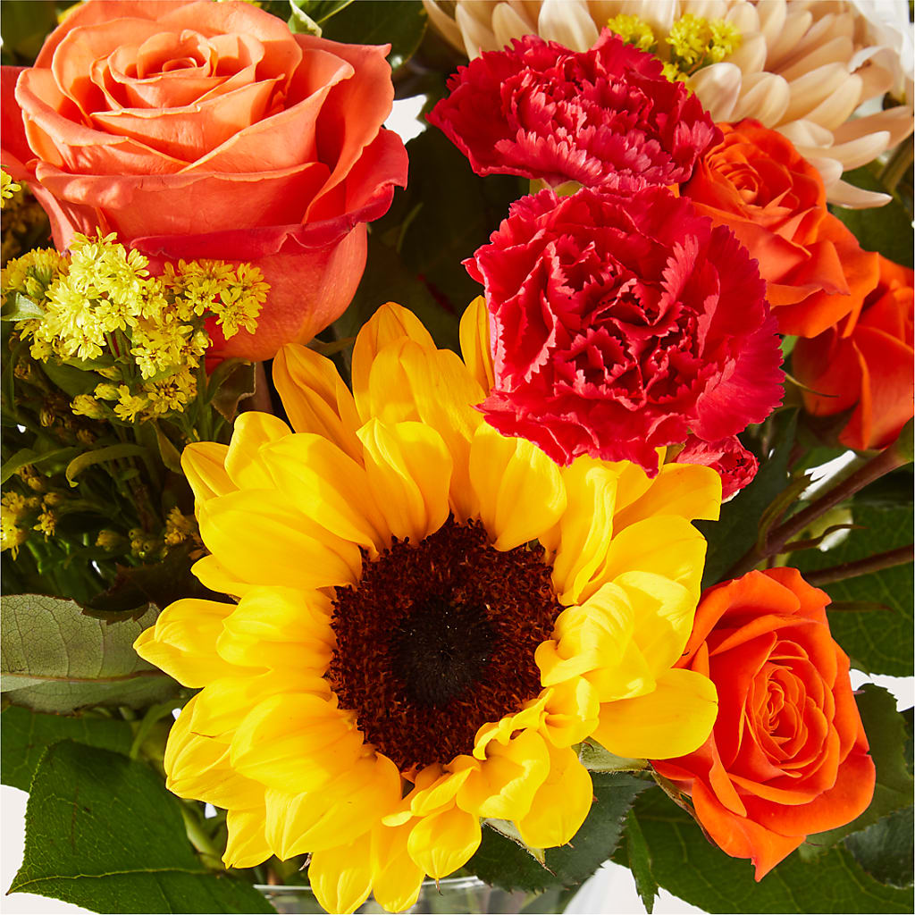 Sweater Season - A Florist Original – MR K'S FLOWERS, Littleton CO