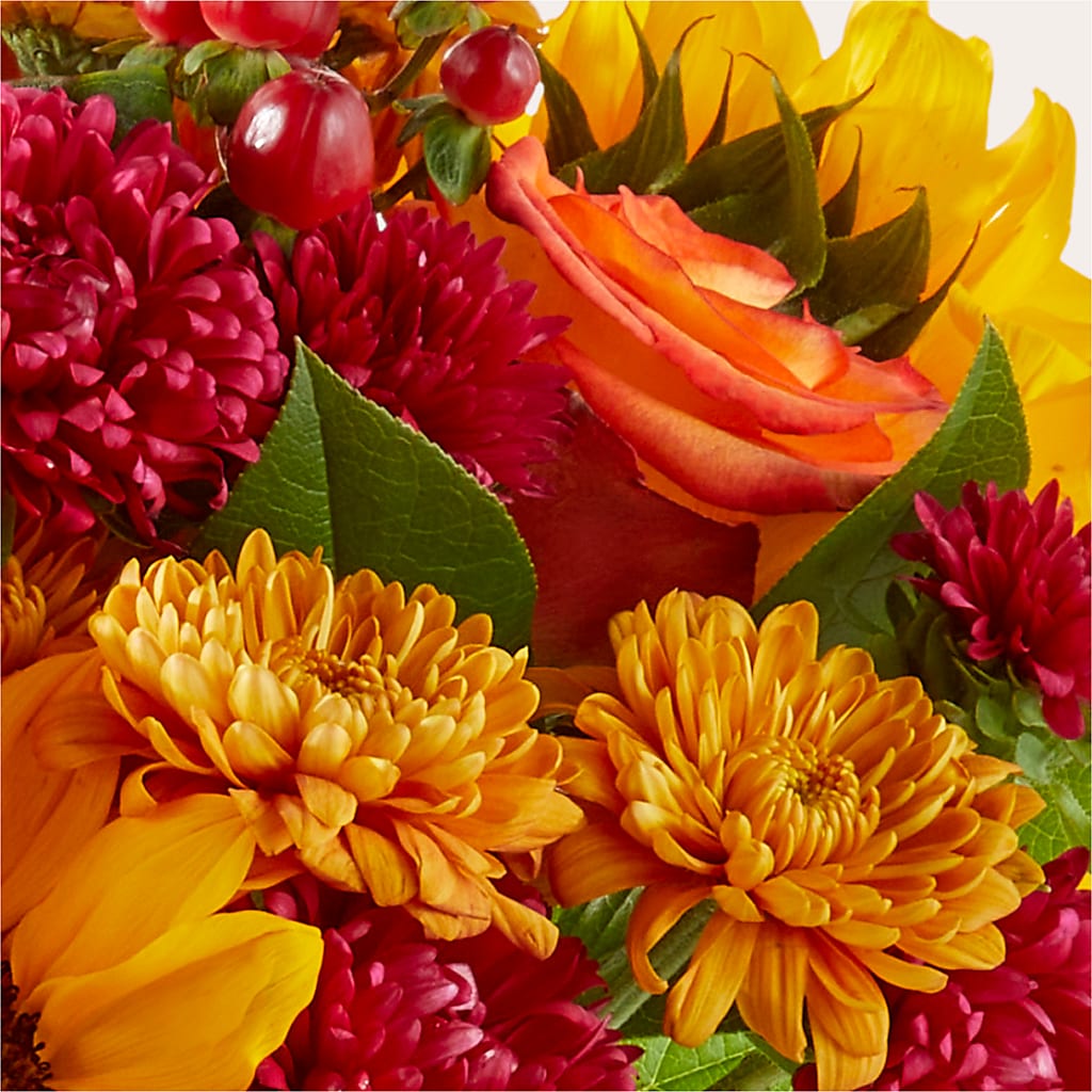 Sweater Season - A Florist Original – MR K'S FLOWERS, Littleton CO