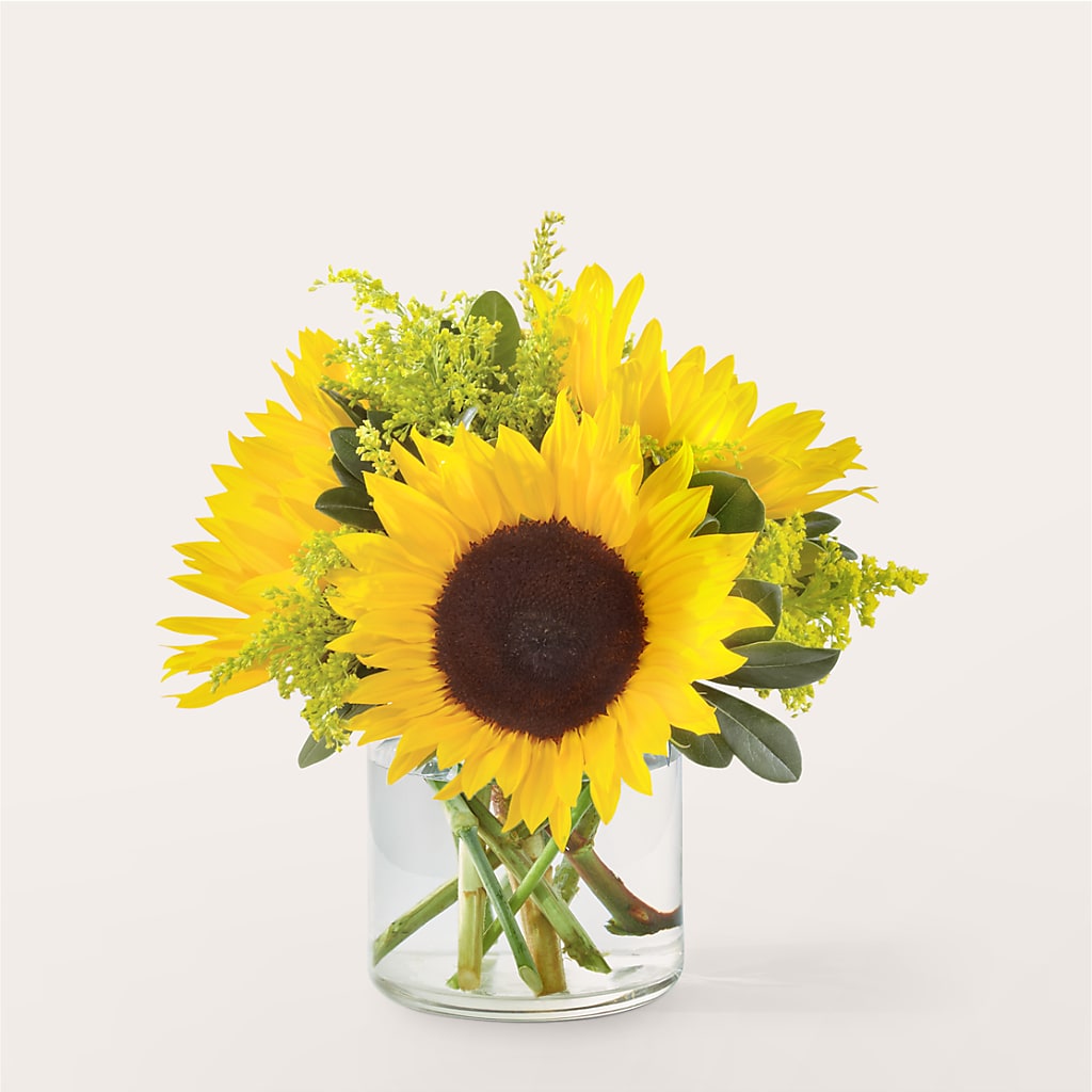 Beaming Sunflower Bouquet – MR K'S FLOWERS, Littleton CO