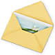 Greeting Card – MR K'S FLOWERS, Littleton CO