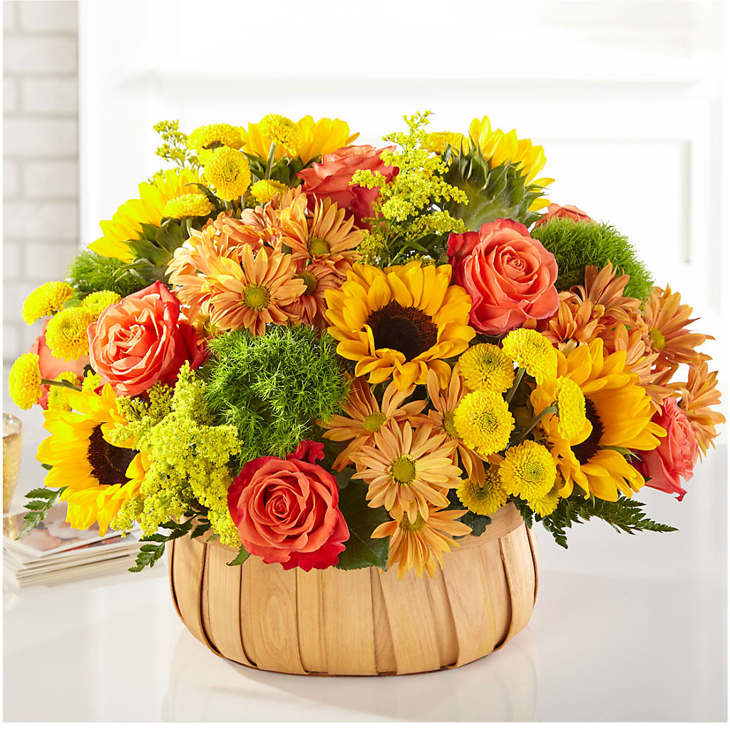 Harvest Sunflower Basket – MR K'S FLOWERS, Littleton CO