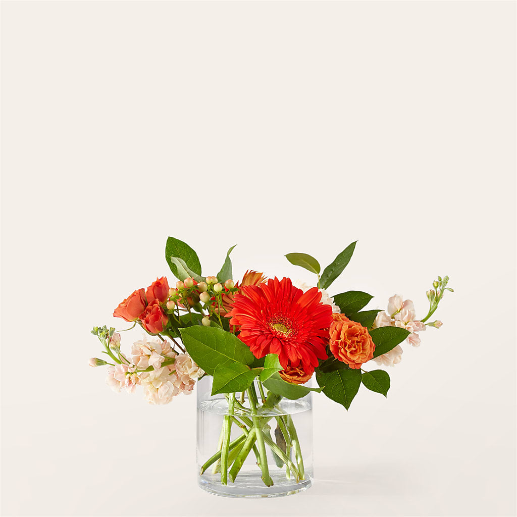 Paloma Please Bouquet – MR K'S FLOWERS, Littleton CO
