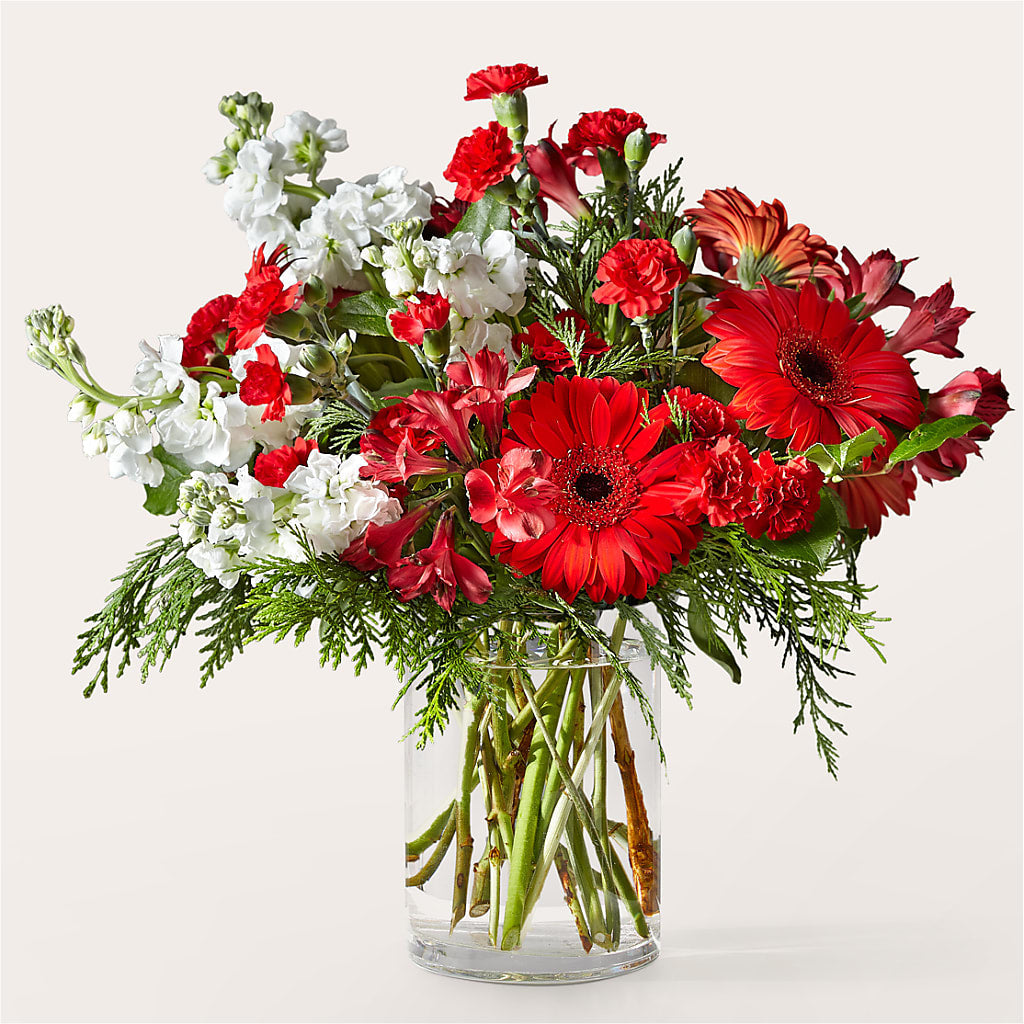Holidaisy Bouquet – MR K'S FLOWERS, Littleton CO