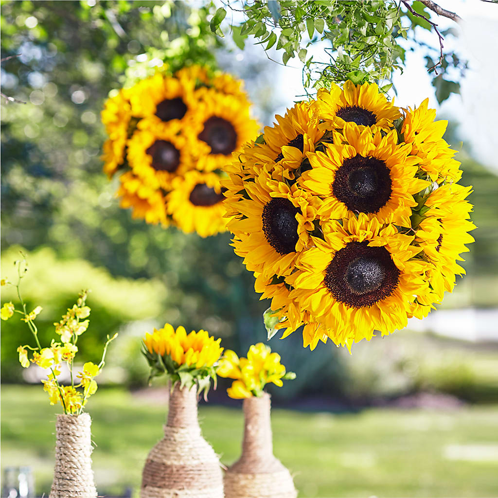 Sublime Garden Hanging Arrangement – MR K'S FLOWERS, Littleton CO