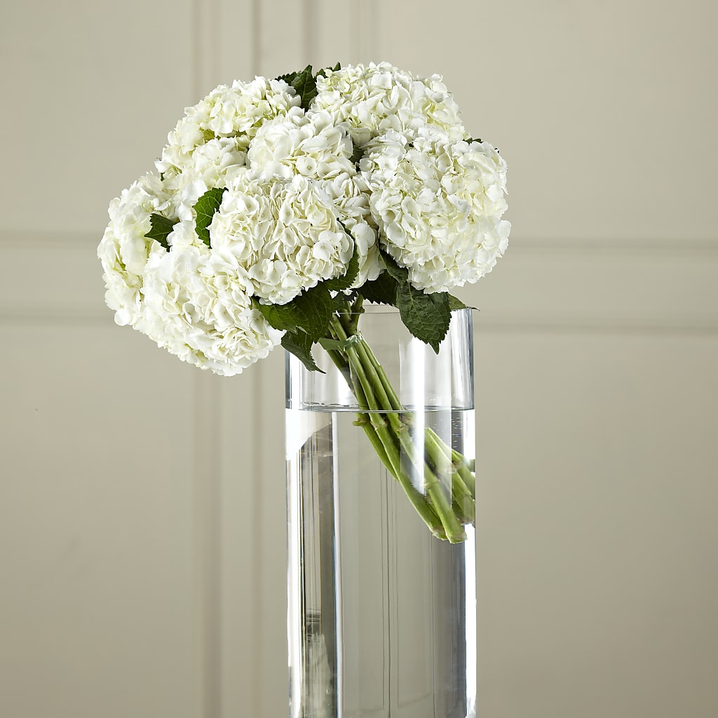 White Hydrangea Hand-Tied Bouquet – MR K'S FLOWERS, Littleton CO