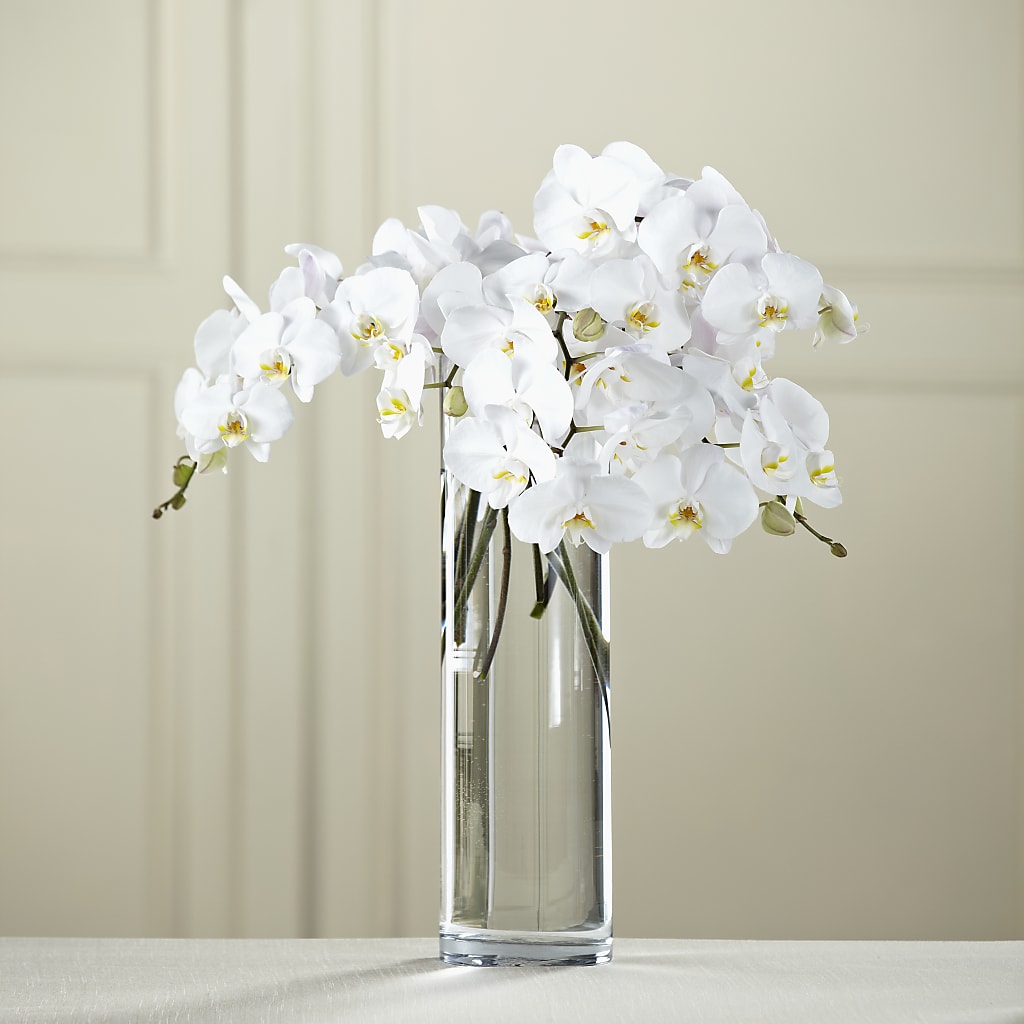 White Phalaenopsis Bouquet – MR K'S FLOWERS, Littleton CO