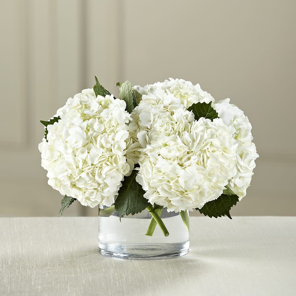 White Hydrangea Bouquet – MR K'S FLOWERS, Littleton CO