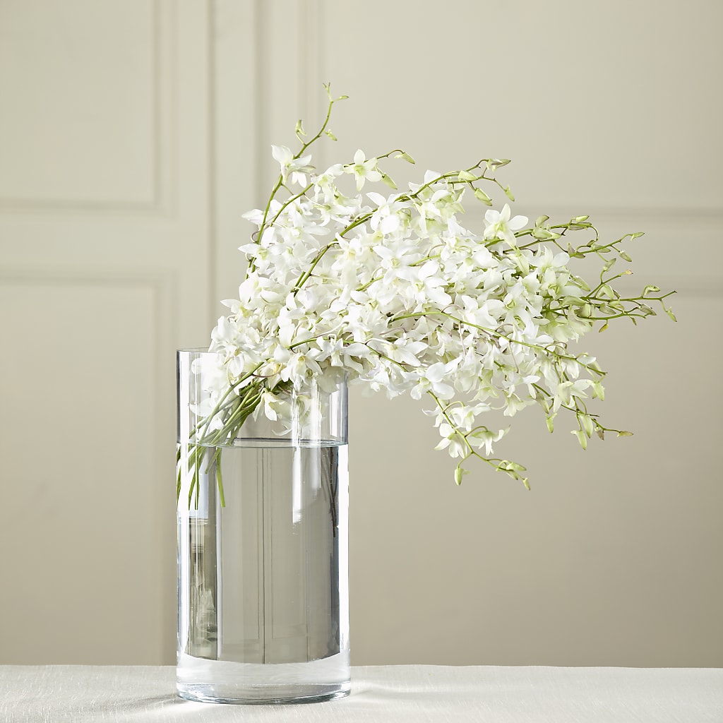 White Dendrobium Bouquet – MR K'S FLOWERS, Littleton CO