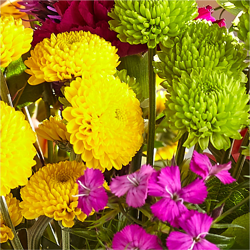 Bold & Bright – A Florist Original – MR K'S FLOWERS, Littleton CO
