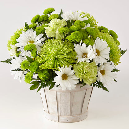 Lucky Charm Basket (Standard) – MR K'S FLOWERS, Littleton CO