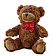 Adorable Plush Bear – MR K'S FLOWERS, Littleton CO