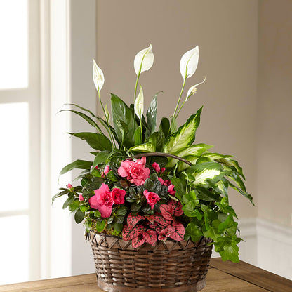 Dream in Pink Dishgarden – MR K'S FLOWERS, Littleton CO