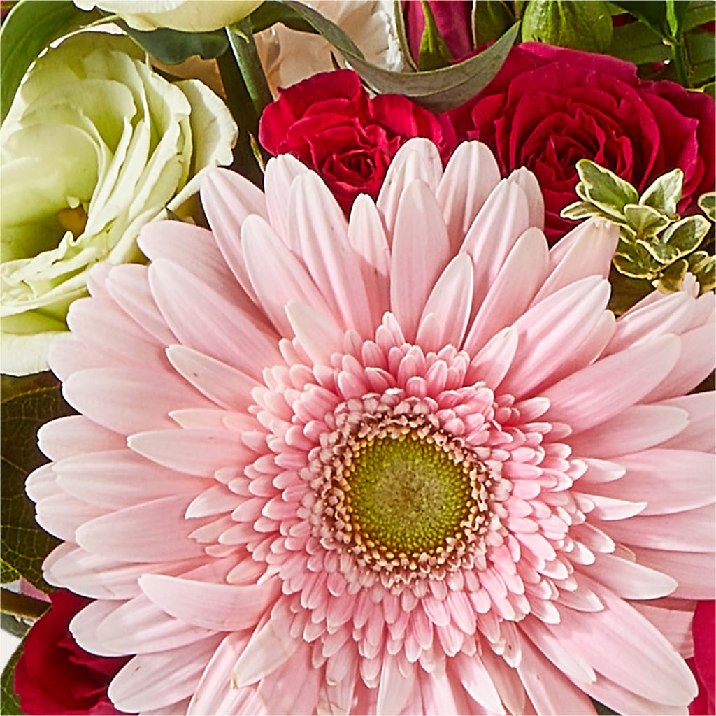 Too Cute Bouquet – MR K'S FLOWERS, Littleton CO