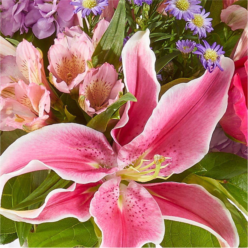 Written in the Stars Bouquet – MR K'S FLOWERS, Littleton CO
