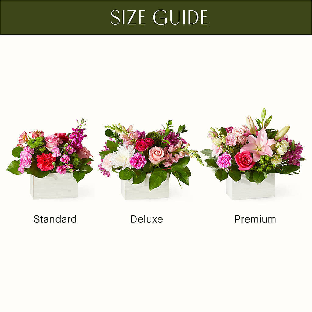 Sweetberry Box – A Florist Original – MR K'S FLOWERS, Littleton CO