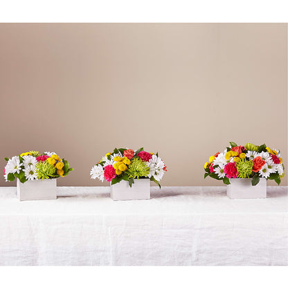 Sorbet Bouquet – MR K'S FLOWERS, Littleton CO