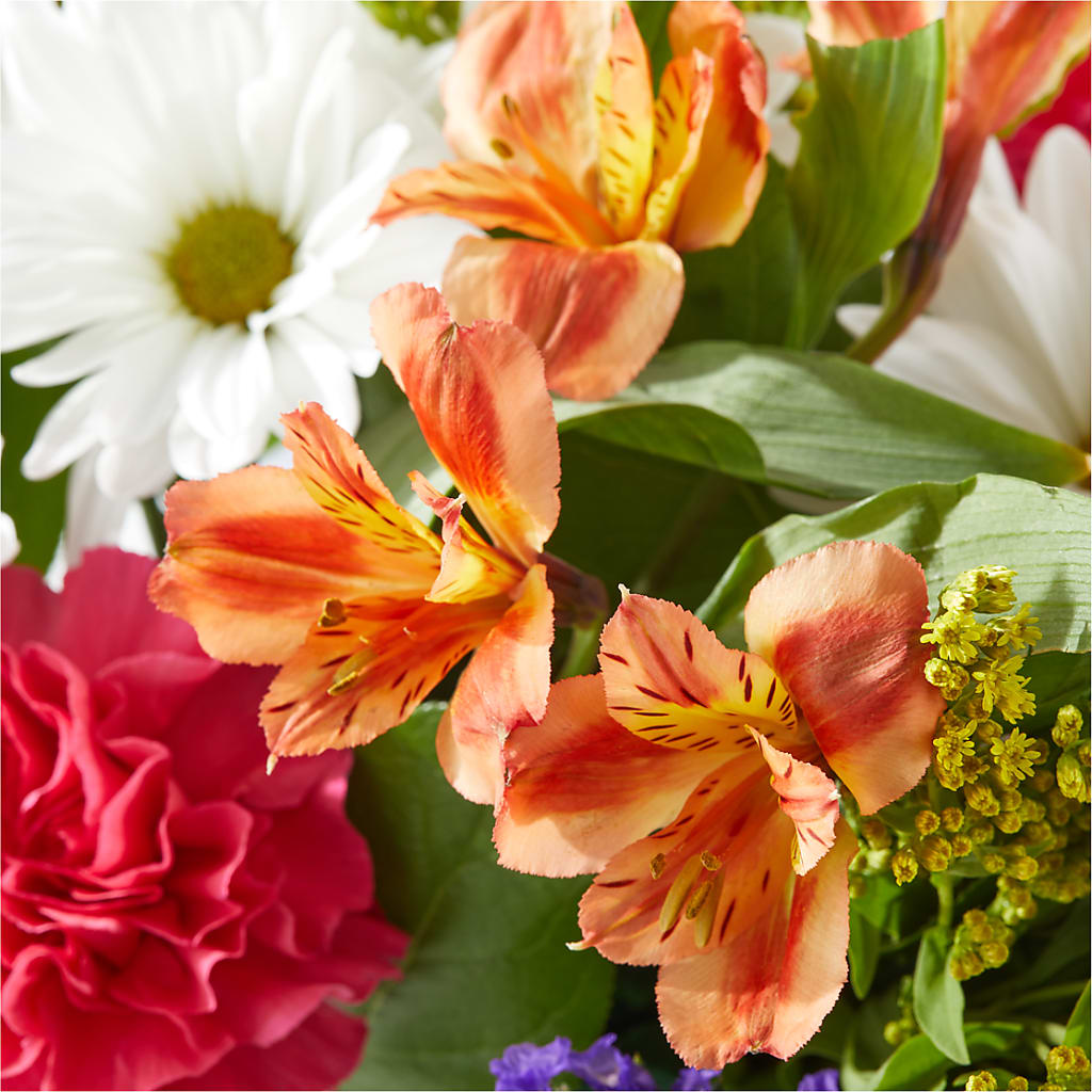 Oopsie Daisy Box Bouquet – MR K'S FLOWERS, Littleton CO