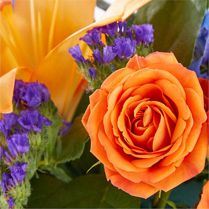 Radiant Citrus Box Bouquet – MR K'S FLOWERS, Littleton CO