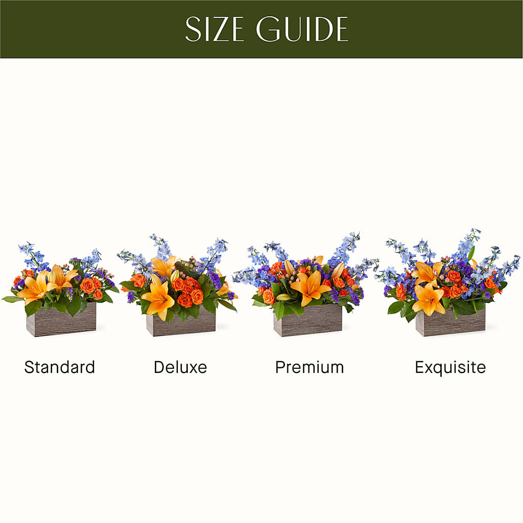 Radiant Citrus Box Bouquet – MR K'S FLOWERS, Littleton CO