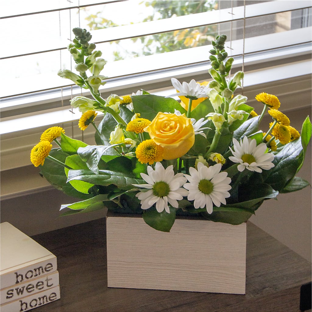 Sun Salutation Box Bouquet – MR K'S FLOWERS, Littleton CO