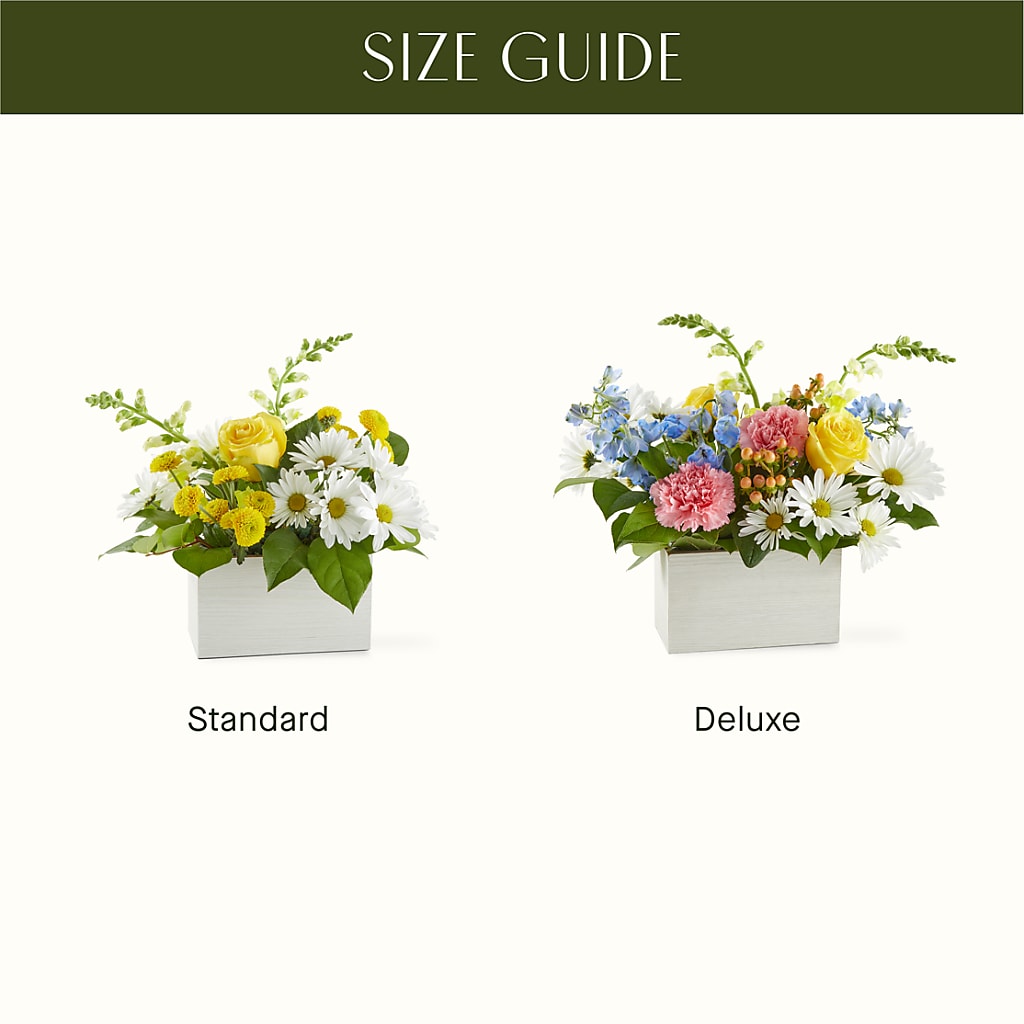 Sun Salutation Box Bouquet – MR K'S FLOWERS, Littleton CO