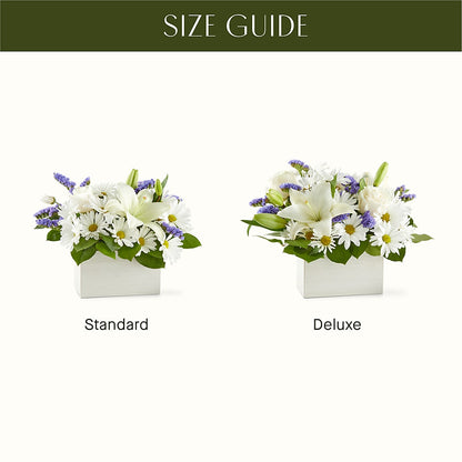 Beyond Blue Box Bouquet – MR K'S FLOWERS, Littleton CO