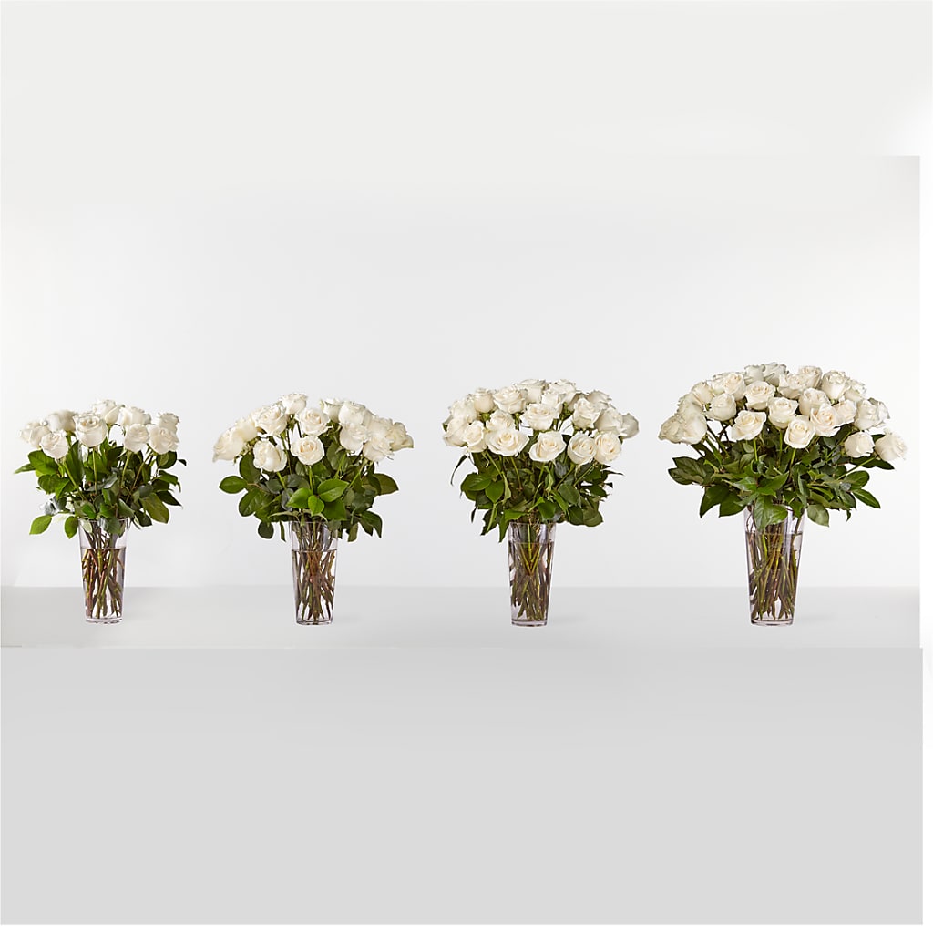 Long Stem White Rose Bouquet – MR K'S FLOWERS, Littleton CO