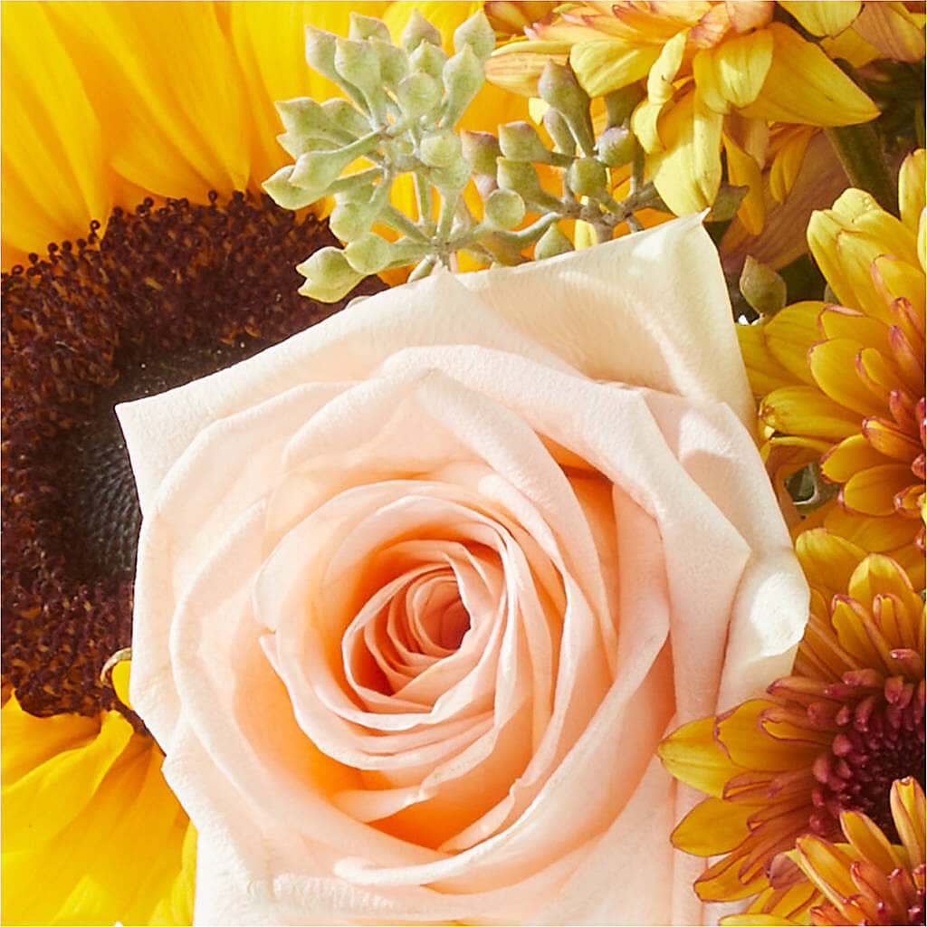 Pumpkin to Talk About Bouquet – MR K'S FLOWERS, Littleton CO