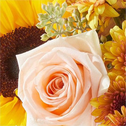 Pumpkin to Talk About Bouquet – MR K'S FLOWERS, Littleton CO