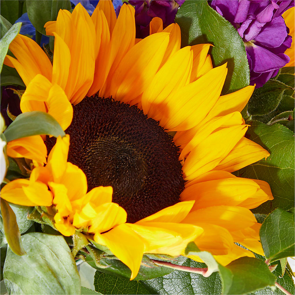 Catching Rays Bouquet – MR K'S FLOWERS, Littleton CO