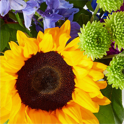 Catching Rays Bouquet – MR K'S FLOWERS, Littleton CO