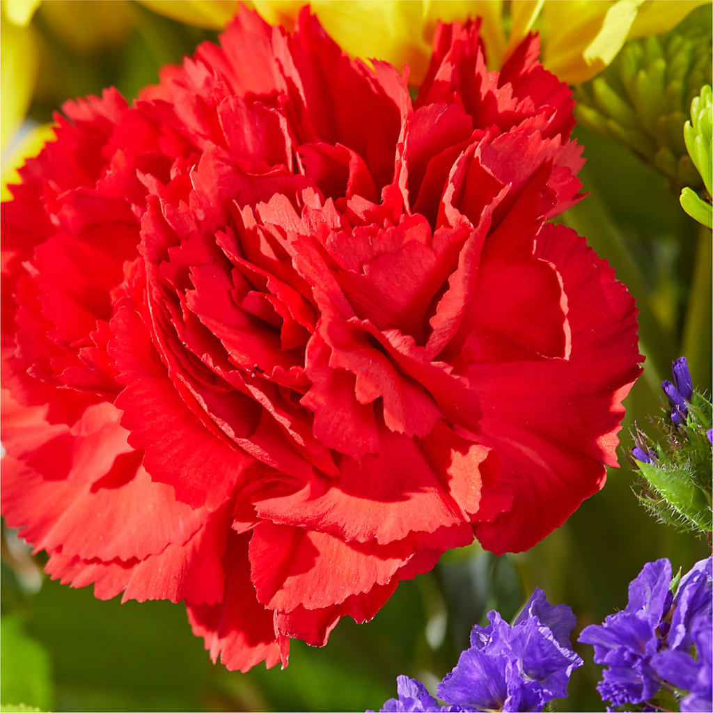 Brighter Days Bouquet – MR K'S FLOWERS, Littleton CO