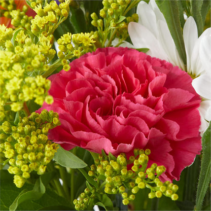 Oopsie Daisy Bouquet – MR K'S FLOWERS, Littleton CO