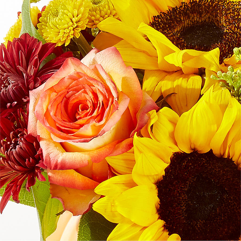 Golden Gourd Pumpkin Bouquet – MR K'S FLOWERS, Littleton CO