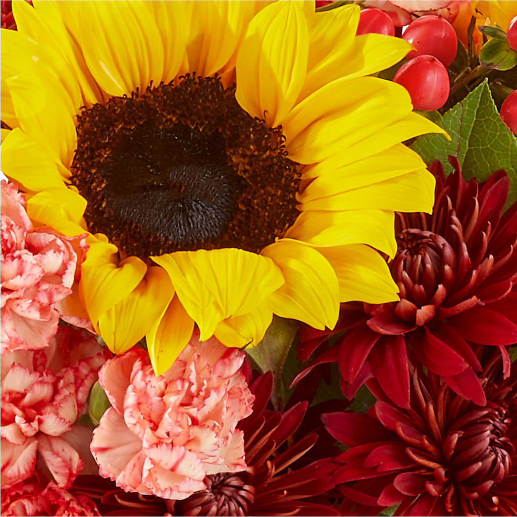 Fresh Cider Bouquet – MR K'S FLOWERS, Littleton CO