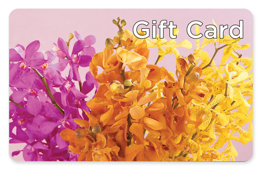 Gift Card – MR K'S FLOWERS, Littleton CO