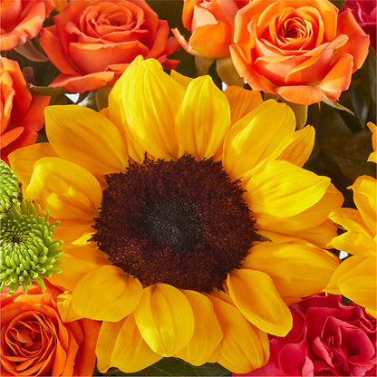 Sun-drenched Blooms Box Bouquet – MR K'S FLOWERS, Littleton CO