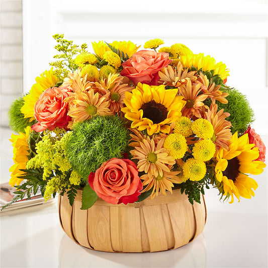 Harvest Sunflower Basket – MR K'S FLOWERS, Littleton CO