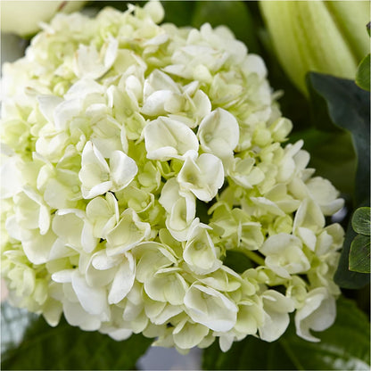 Classic Ivory – A Florist Original – MR K'S FLOWERS, Littleton CO