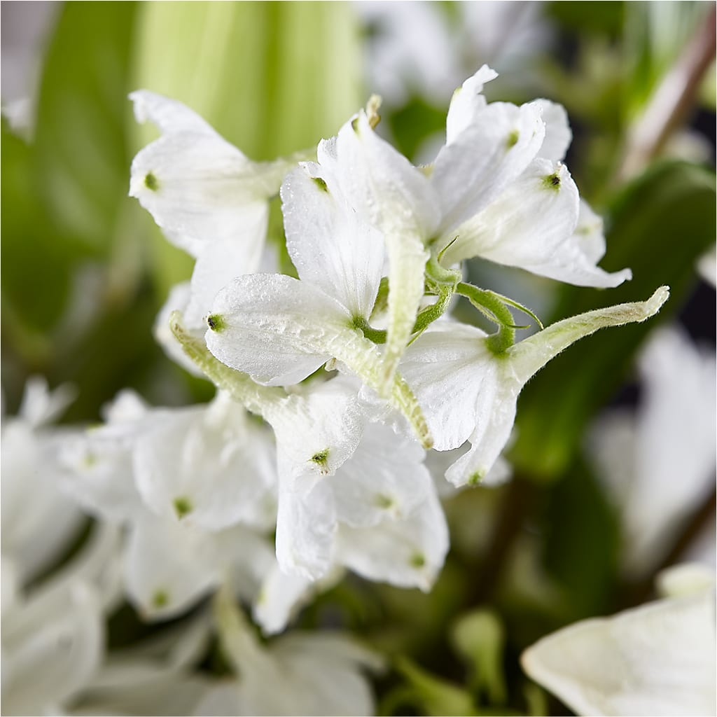 Classic Ivory – A Florist Original – MR K'S FLOWERS, Littleton CO