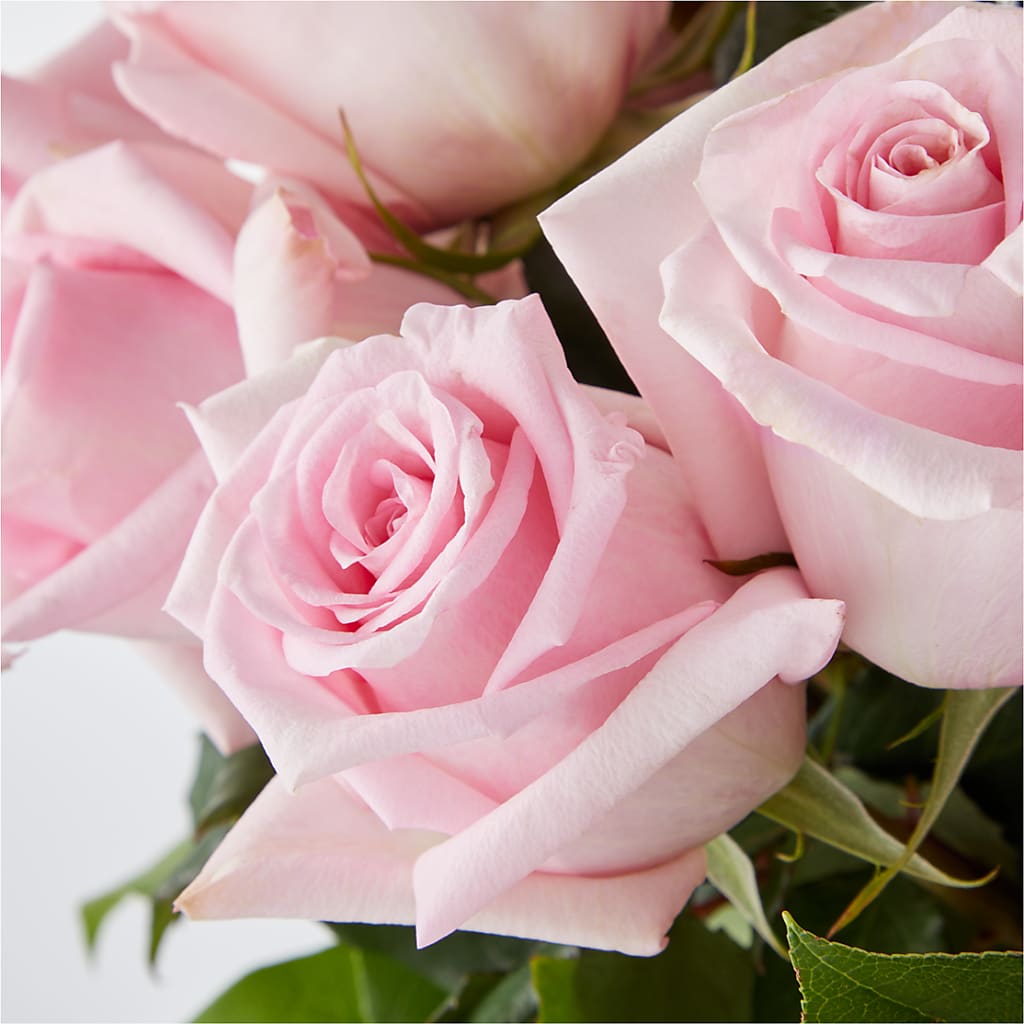 Picture Perfect Pink Rose Bouquet – MR K'S FLOWERS, Littleton CO