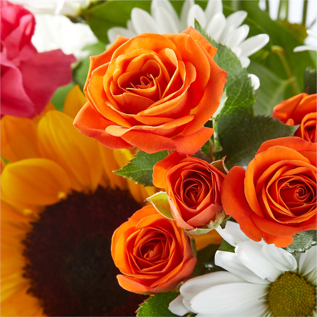 Sun-drenched Blooms Bouquet – MR K'S FLOWERS, Littleton CO