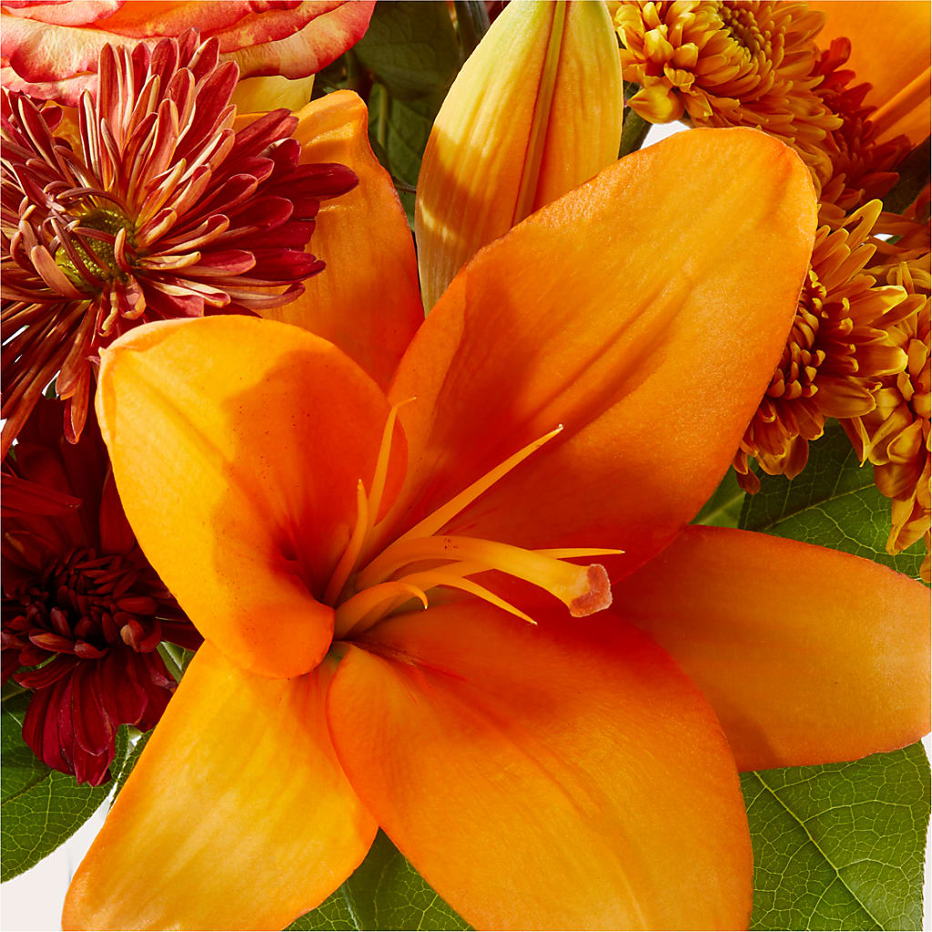 Autumnal Aroma Bouquet – MR K'S FLOWERS, Littleton CO