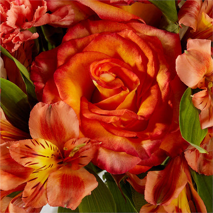 Apricot Glow Bouquet – MR K'S FLOWERS, Littleton CO