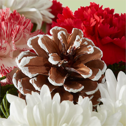 Candy Cane Lane Bouquet – MR K'S FLOWERS, Littleton CO