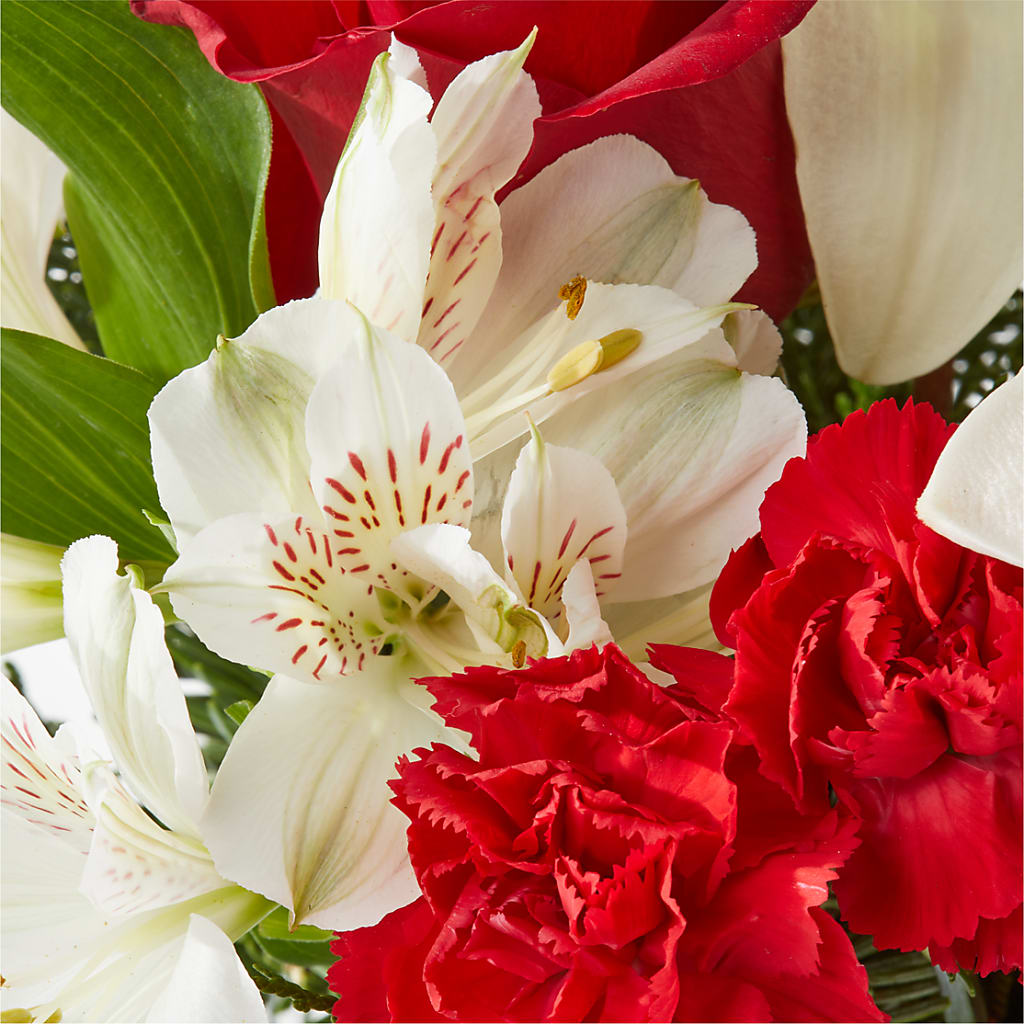 Holiday Season Bouquet – MR K'S FLOWERS, Littleton CO